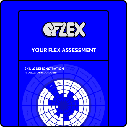 graphic of a skills assessment radial chart